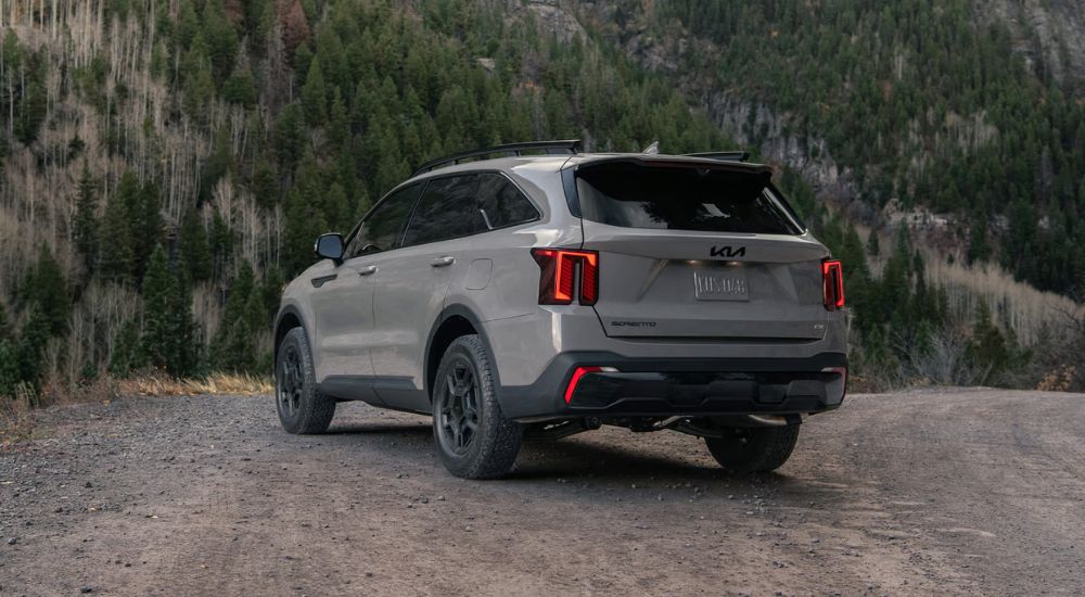 Rear view of a grey 2026 Kia Sorento in the woods.