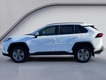 2025 Toyota RAV4 Hybrid Hybrid XLE